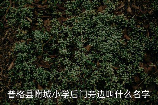 普格縣附城小學后門旁邊叫什么名字