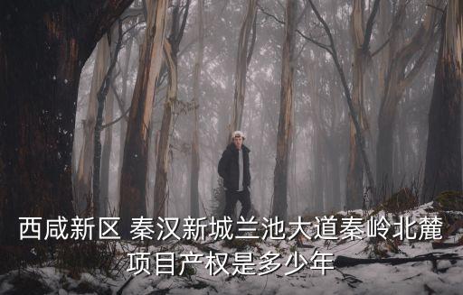 西咸新區(qū) 秦漢新城蘭池大道秦嶺北麓項(xiàng)目產(chǎn)權(quán)是多少年