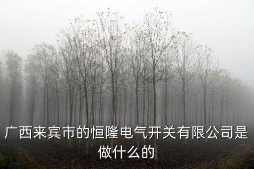 廣西來賓市的恒隆電氣開關有限公司是做什么的