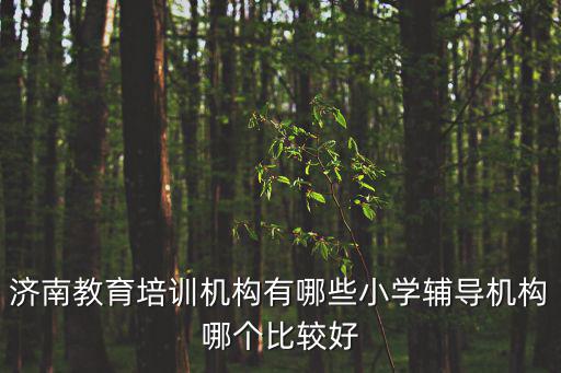 濟南培訓，濟南教育培訓機構哪家比較好求推薦一個
