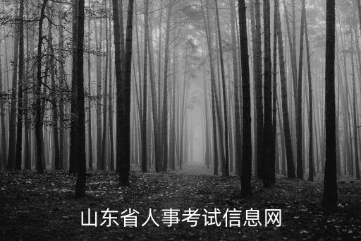山東人事考試，山東省人事考試信息網(wǎng)