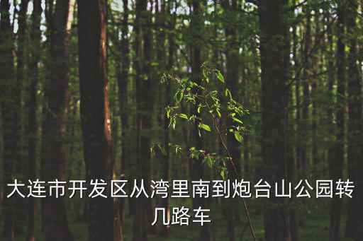 大連市開(kāi)發(fā)區(qū)從灣里南到炮臺(tái)山公園轉(zhuǎn)幾路車(chē)