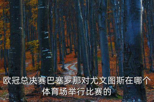 歐冠總決賽，歐冠決賽什么時候
