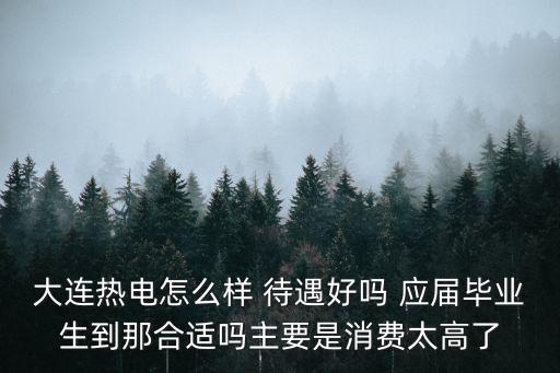 大連熱電怎么樣 待遇好嗎 應屆畢業生到那合適嗎主要是消費太高了