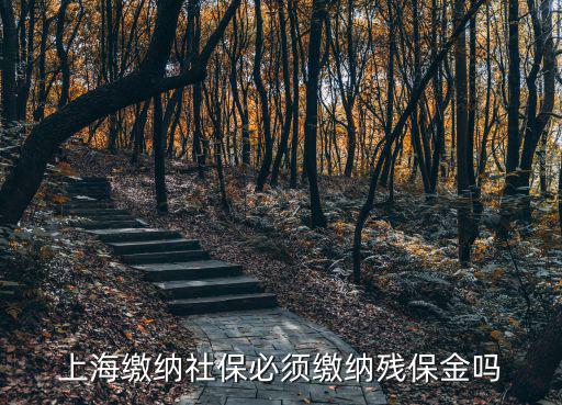 上海繳納社保必須繳納殘保金嗎