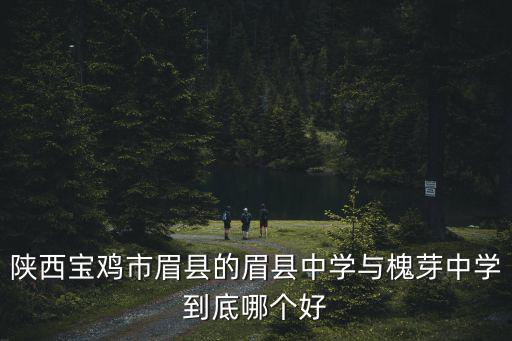 陜西寶雞市眉縣的眉縣中學與槐芽中學到底哪個好