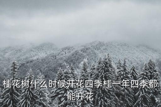 桂花樹幾月開花，桂花是什么季節開花的 桂花樹幾月份開花