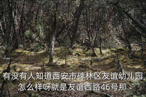 有沒有人知道西安市碑林區友誼幼兒園怎么樣呀就是友誼西路46號那