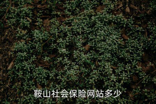 鞍山社會保險(xiǎn)網(wǎng)站多少