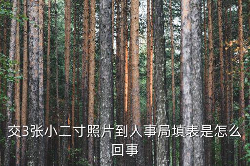交3張小二寸照片到人事局填表是怎么回事