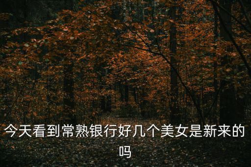 今天看到常熟銀行好幾個(gè)美女是新來(lái)的嗎