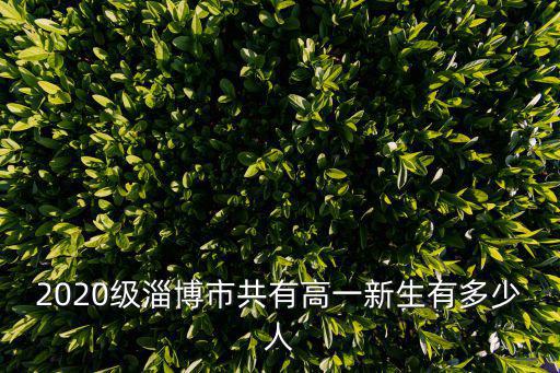 2020級淄博市共有高一新生有多少人