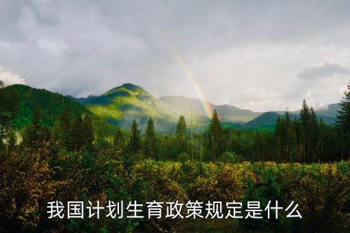 我國計劃生育政策規定是什么
