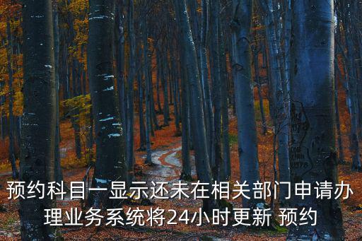 預(yù)約科目一顯示還未在相關(guān)部門申請辦理業(yè)務(wù)系統(tǒng)將24小時(shí)更新 預(yù)約