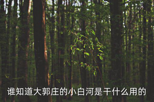 小白河，誰知道大郭莊的小白河是干什么用的