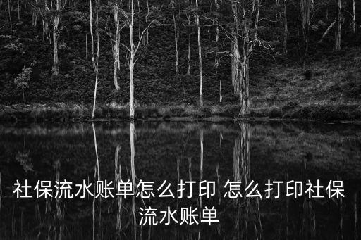 社保流水賬單怎么打印 怎么打印社保流水賬單
