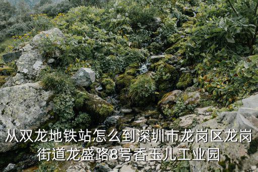 從雙龍地鐵站怎么到深圳市龍崗區(qū)龍崗街道龍盛路8號(hào)香玉兒工業(yè)園