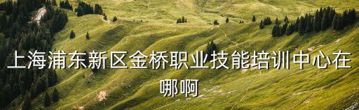 上海浦東新區金橋職業技能培訓中心在哪啊
