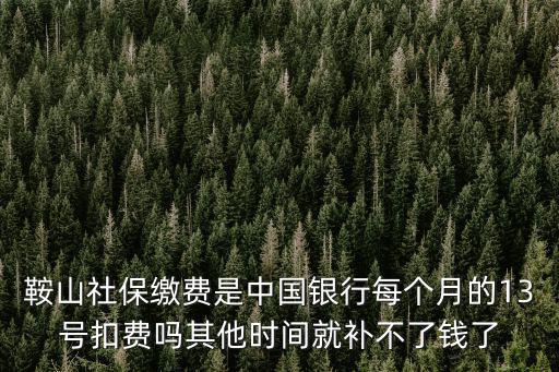 鞍山社保繳費是中國銀行每個月的13號扣費嗎其他時間就補不了錢了