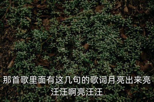 那首歌里面有這幾句的歌詞月亮出來亮汪汪啊亮汪汪
