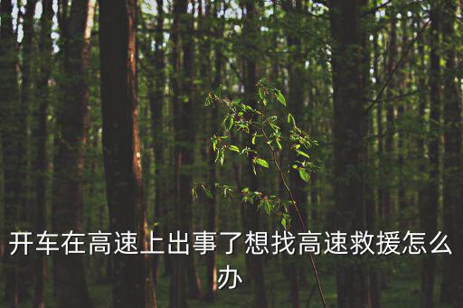 高速救援，開(kāi)車(chē)在高速上出事了想找高速救援怎么辦