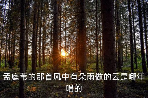 風中有朵雨做的云歌曲原唱，孟庭葦的那首風中有朵雨做的云是哪年唱的