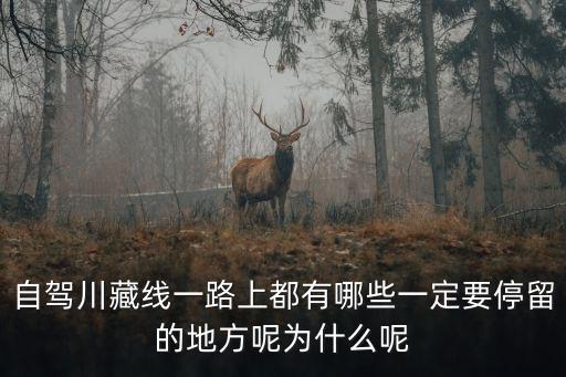 自駕川藏線一路上都有哪些一定要停留的地方呢為什么呢