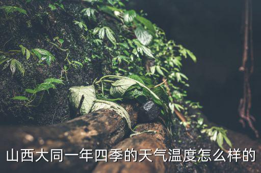 山西大同一年四季的天氣溫度怎么樣的
