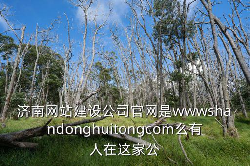 濟南網站建設公司官網是wwwshandonghuitongcom么有人在這家公