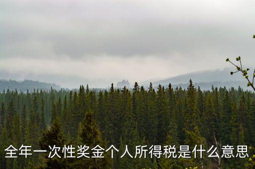 全年一次性獎金個人所得稅是什么意思