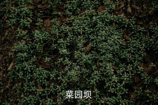 菜園壩
