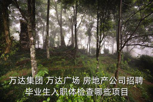 萬達集團 萬達廣場 房地產(chǎn)公司招聘畢業(yè)生入職體檢查哪些項目