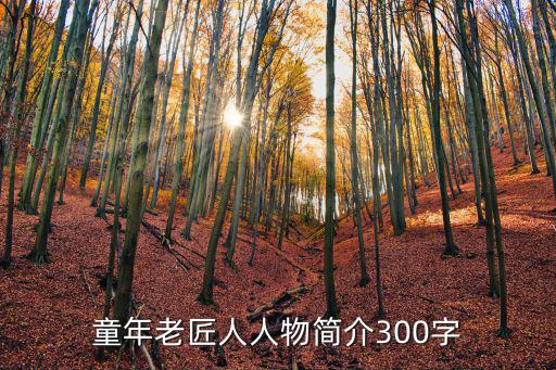 大國工匠年度人物，誰知道大國工匠哪位人物姓王大家能不能幫助我知道答案的給我可