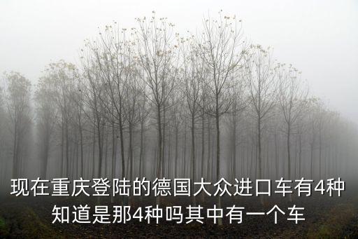 現在重慶登陸的德國大眾進口車有4種知道是那4種嗎其中有一個車