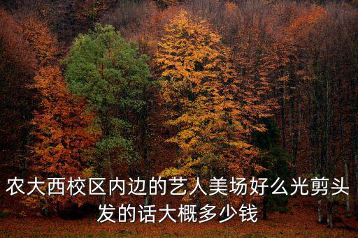 藝人美場，農大西校區內邊的藝人美場好么光剪頭發的話大概多少錢