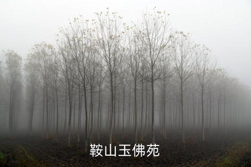 鞍山玉佛苑