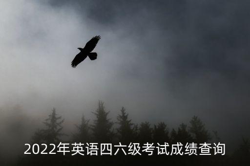 2022年英語四六級考試成績查詢