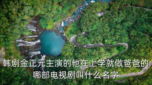 韓劇金正元主演的他在上學就做爸爸的哪部電視劇叫什么名字