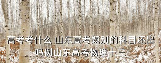 高考考什么 山東高考題別的科目還出嗎例山東高考物理十三