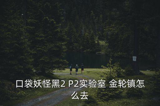 金輪鎮(zhèn)，神奇寶貝BW金輪鎮(zhèn)怎么去