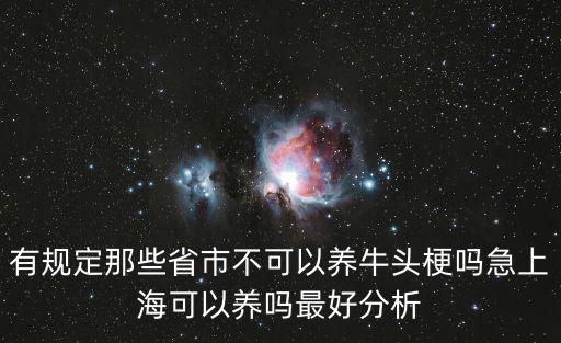 有規定那些省市不可以養牛頭梗嗎急上海可以養嗎最好分析