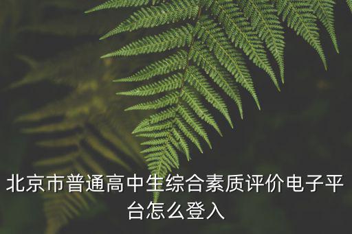 素質平臺，北京市普通高中生綜合素質評價電子平臺怎么登入