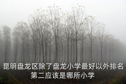 昆明盤龍區(qū)除了盤龍小學最好以外排名第二應該是哪所小學