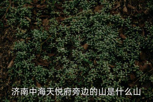 中海天悅府，濟南市中海天悅府屬于哪個街道辦事處