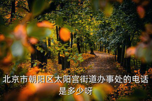 北京市朝陽區太陽宮街道辦事處的電話是多少呀
