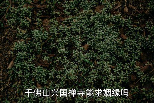 千佛山興國禪寺能求姻緣嗎