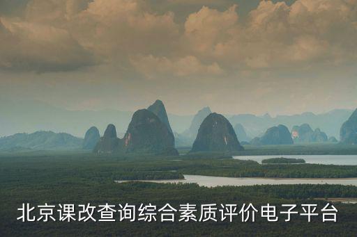北京課改查詢綜合素質(zhì)評價電子平臺