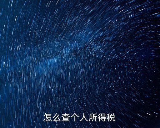 怎么查個人所得稅