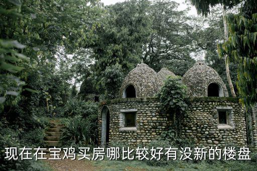 寶雞房產，關于寶雞市的房地產