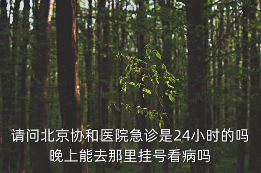 請問北京協和醫院急診是24小時的嗎晚上能去那里掛號看病嗎
